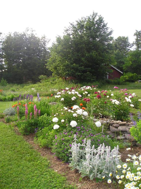 Cooper Hill Inn East Dover Esterno foto
