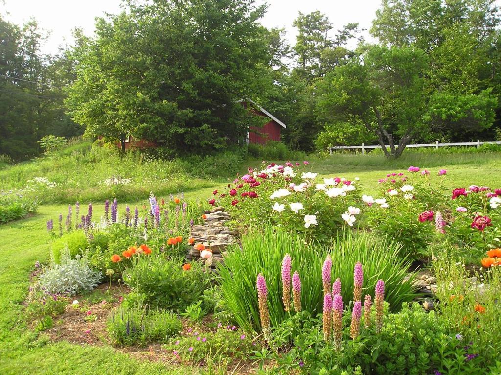 Cooper Hill Inn East Dover Esterno foto