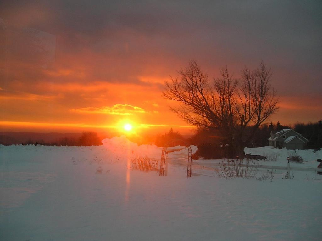 Cooper Hill Inn East Dover Esterno foto